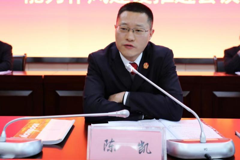 陈凯发言.jpg 陈凯发言.jpg